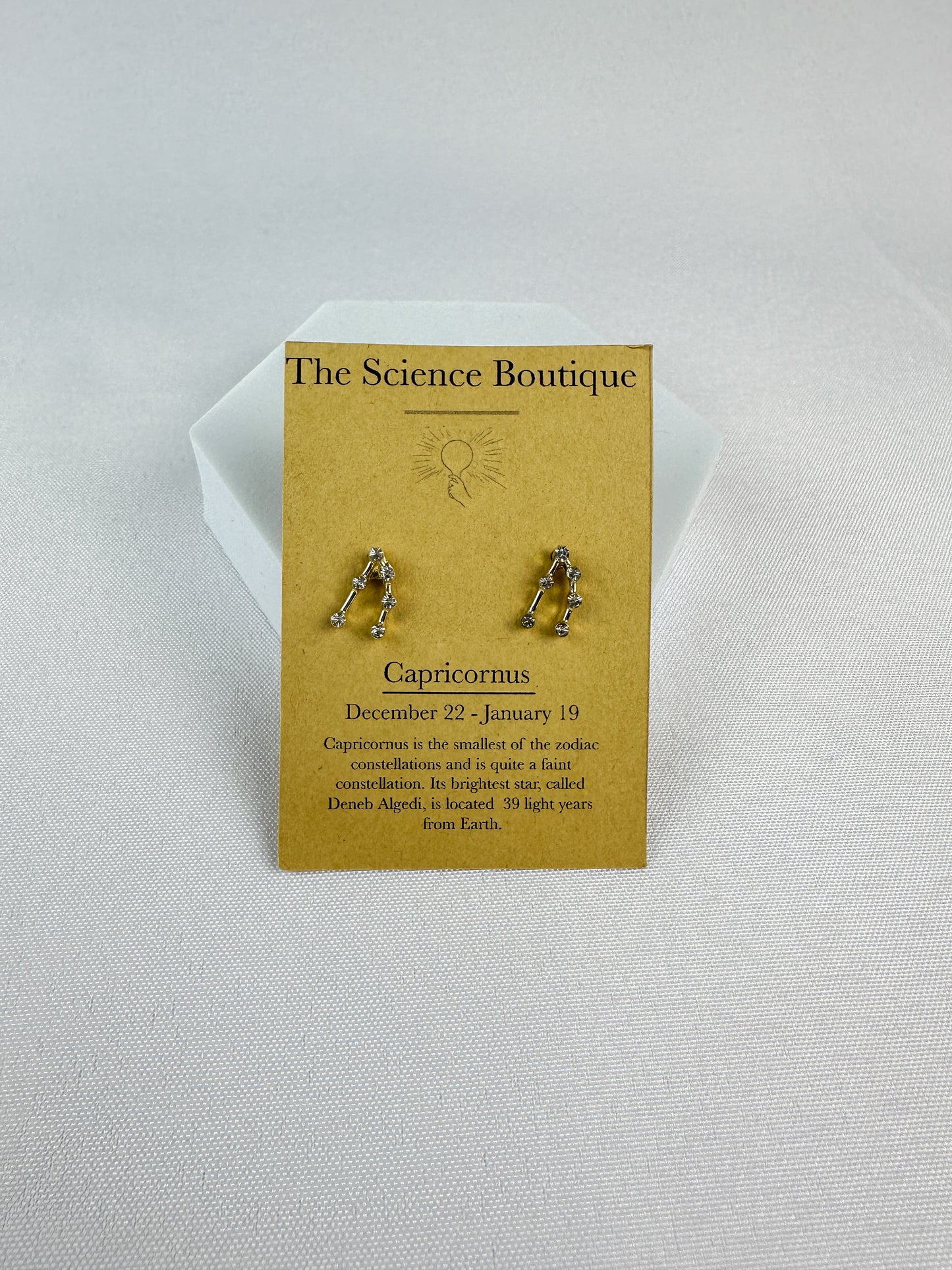 Capricorn Constellation Earrings