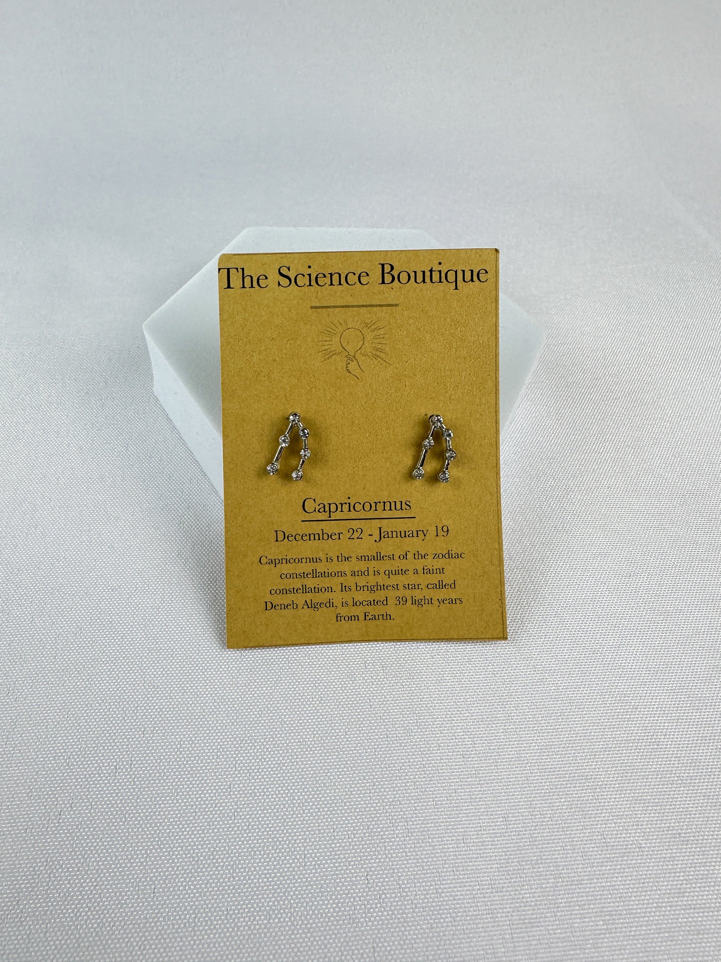Capricorn Constellation Earrings