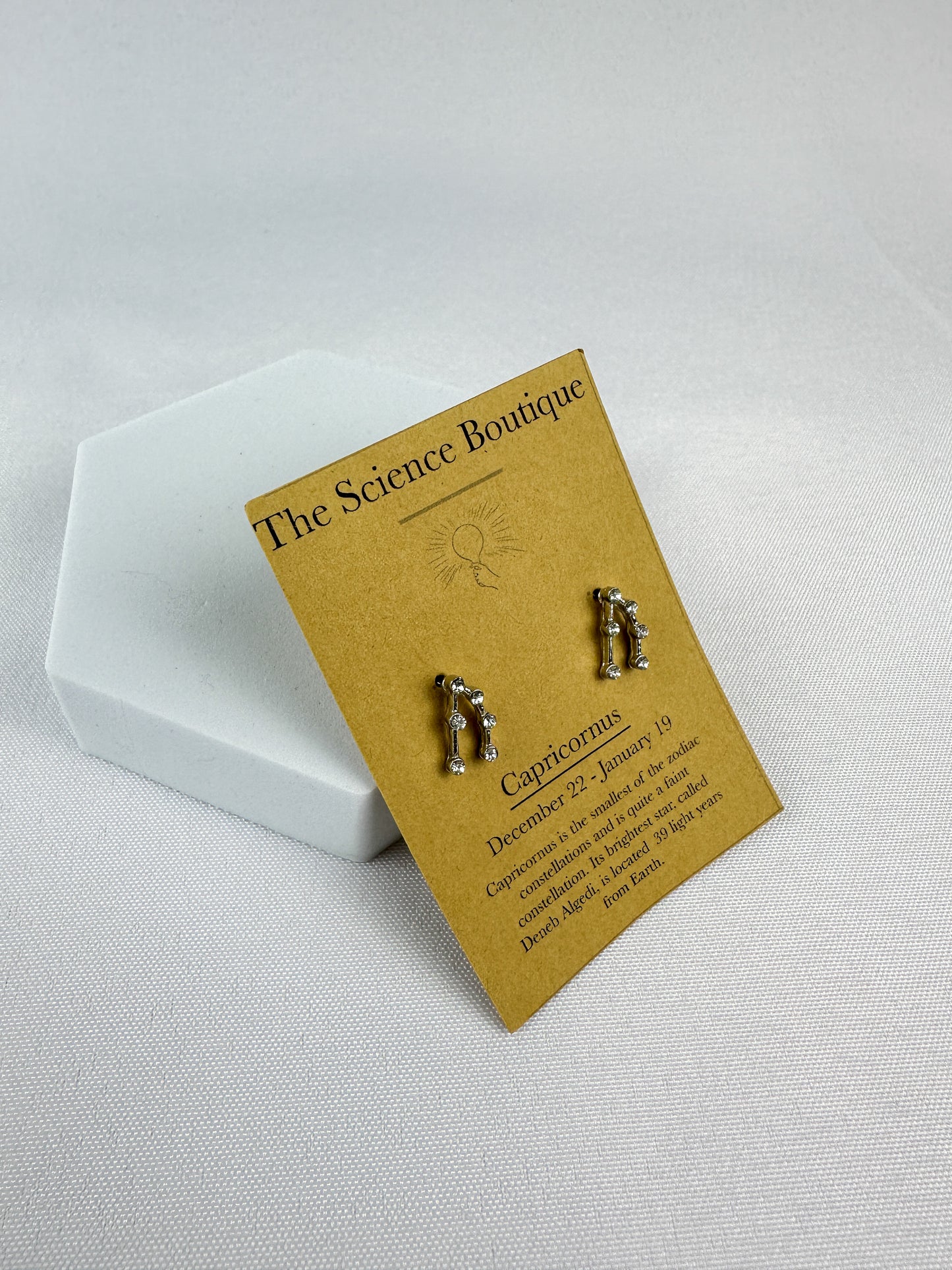 Capricorn Constellation Earrings