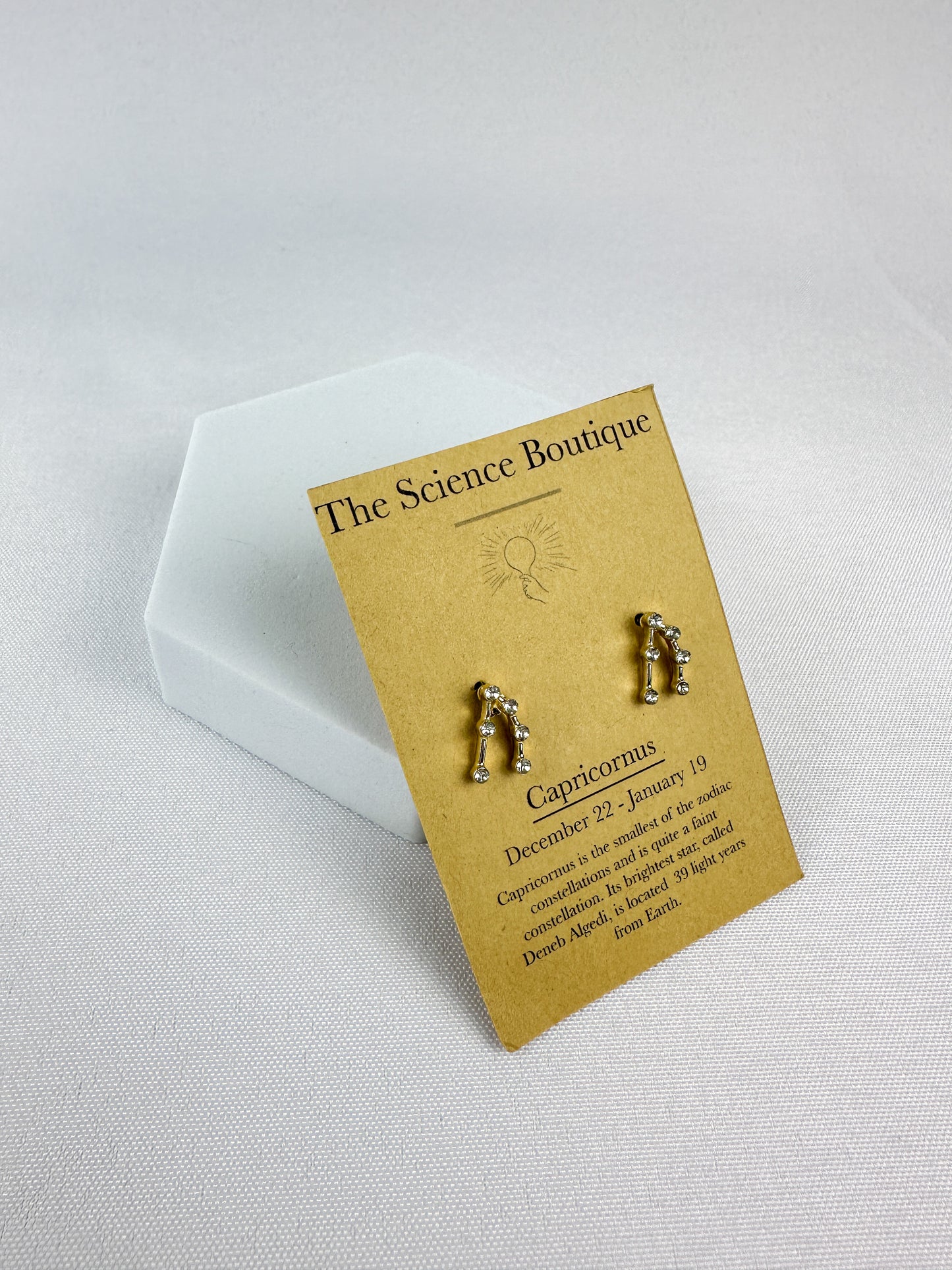 Capricorn Constellation Earrings