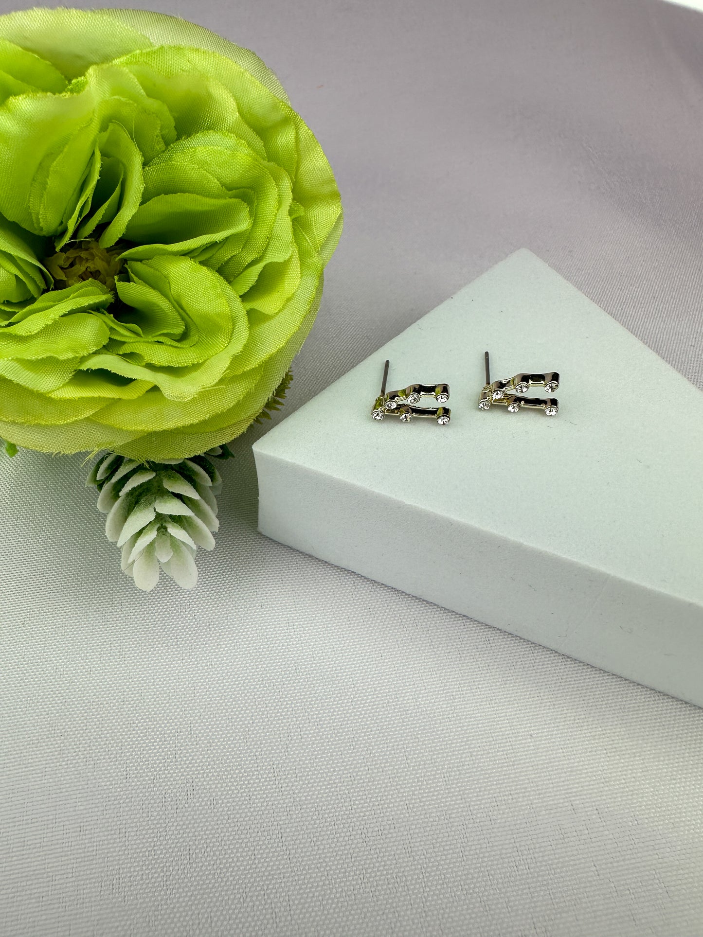Capricorn Constellation Earrings