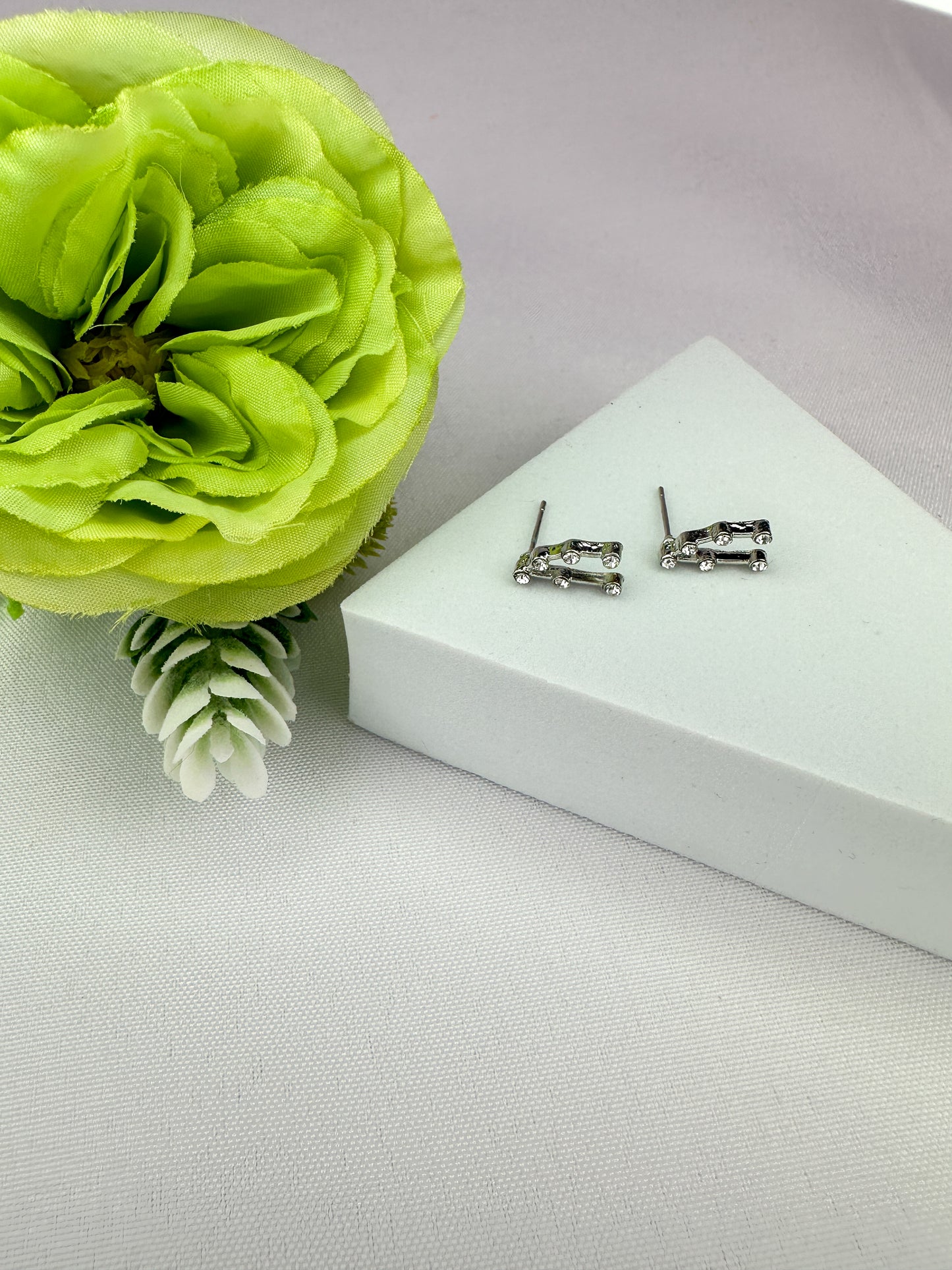 Capricorn Constellation Earrings