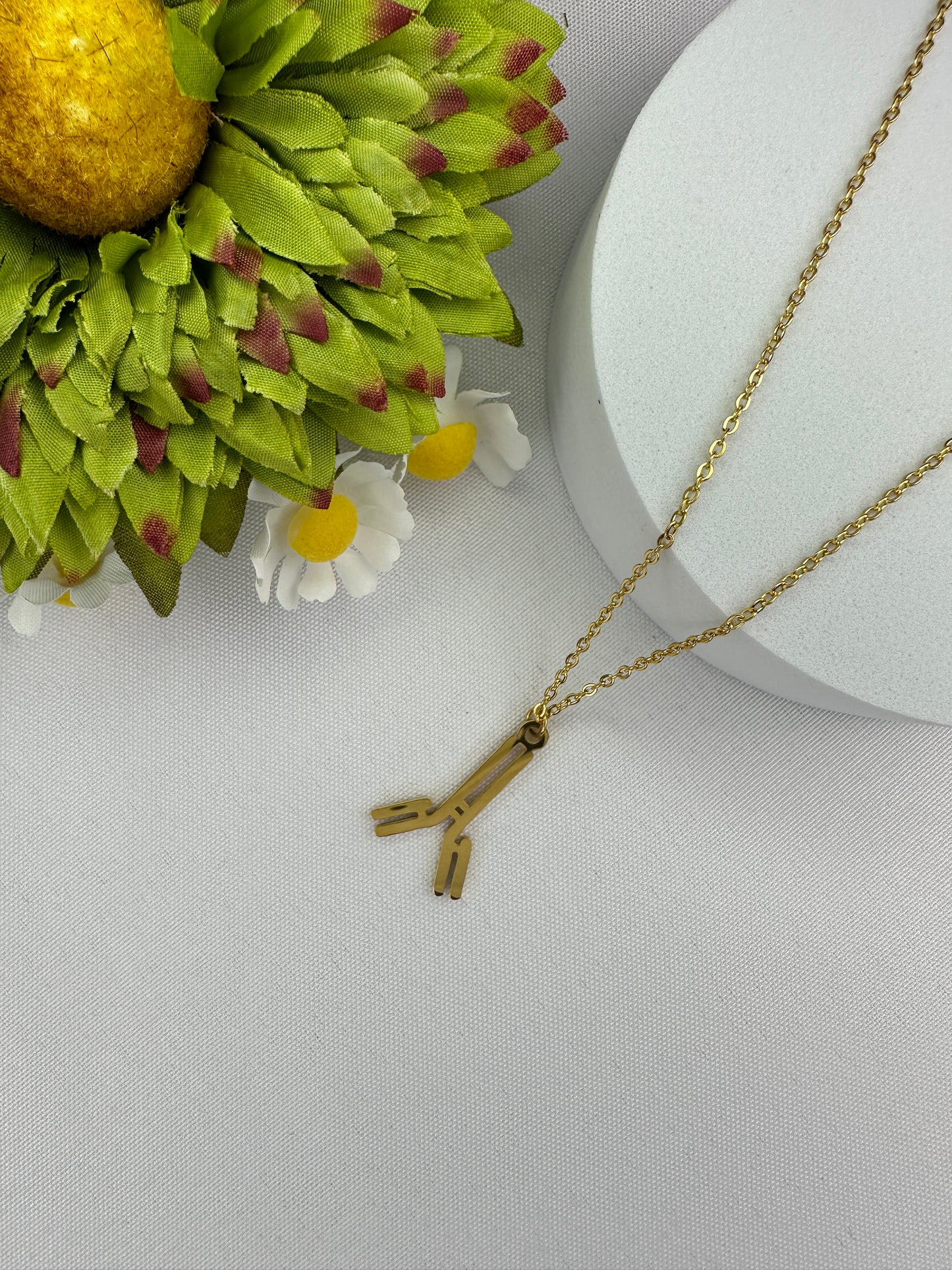 Antibody Necklace