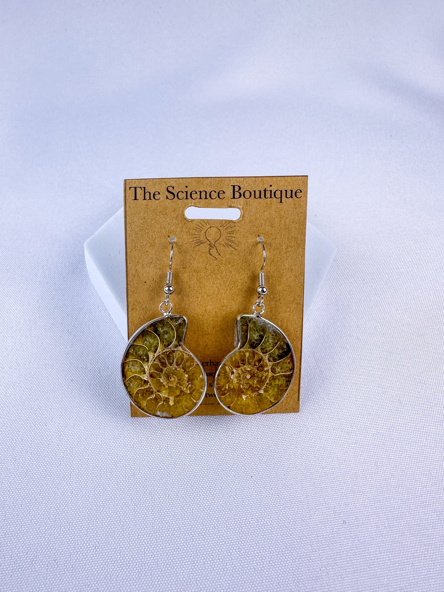 Real Ammonite Fossil Earrings