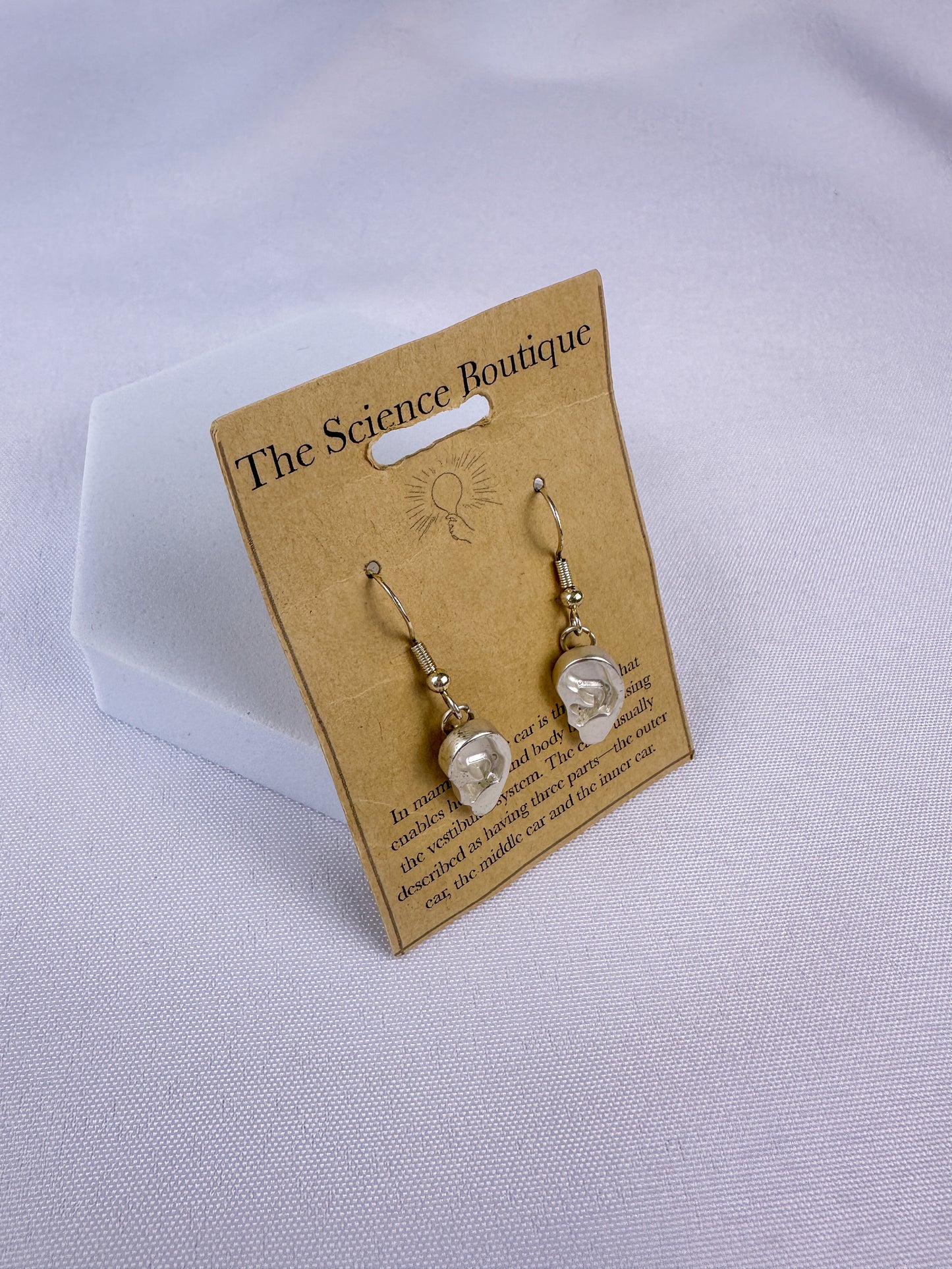 Ear Dangle Earrings