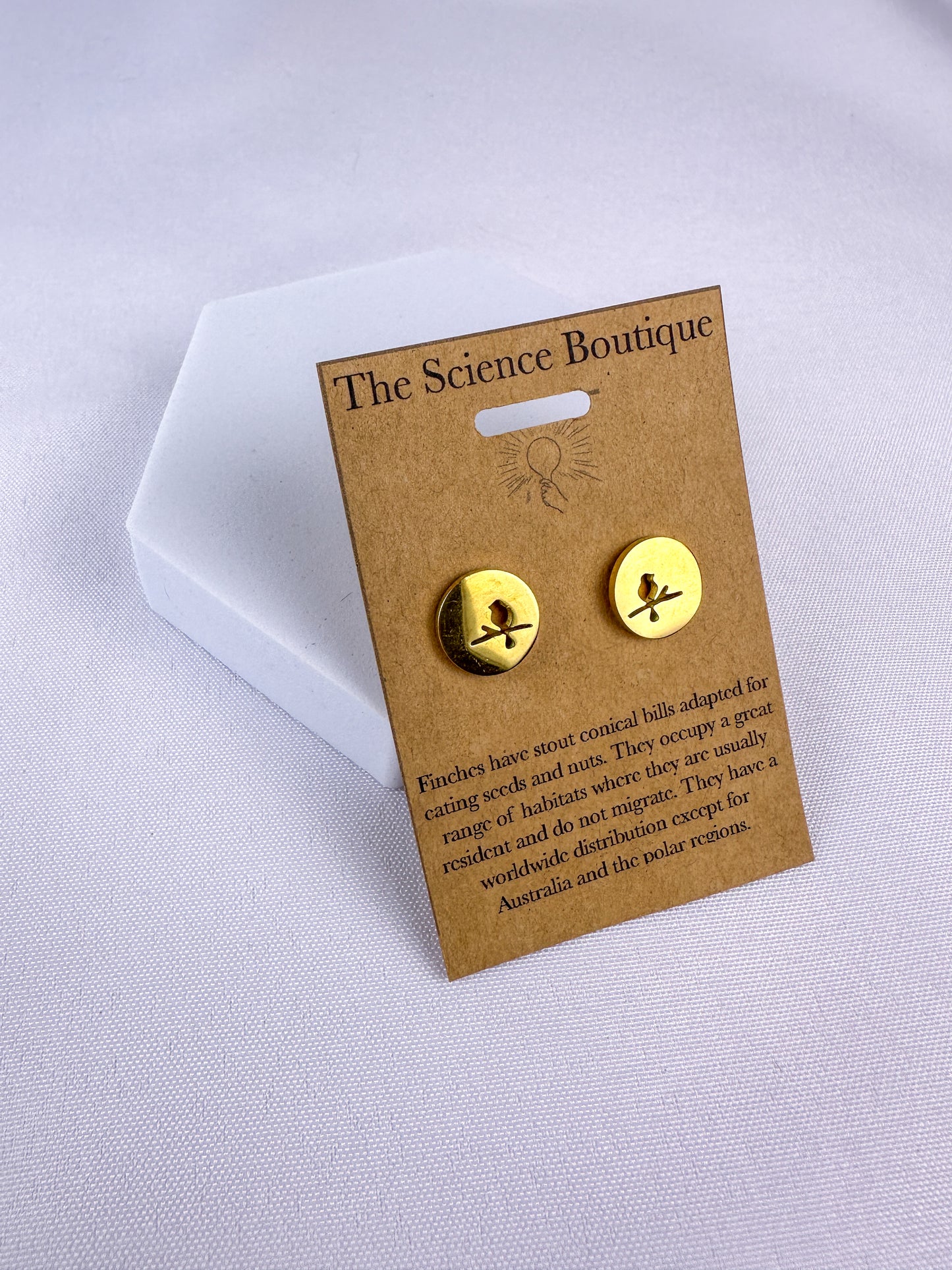 Darwin’s Finches Stud Earrings