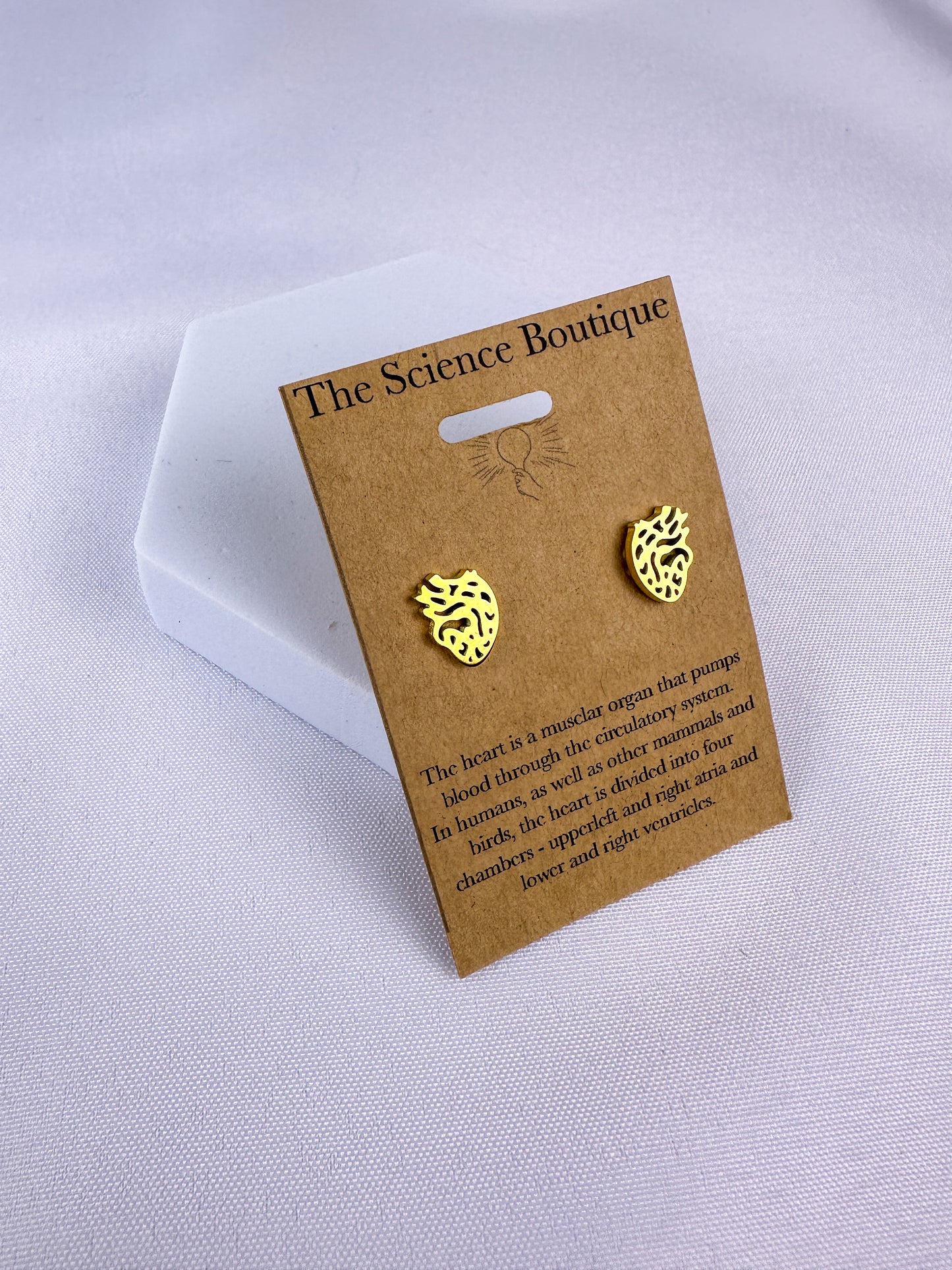 Anatomical Heart Stud Earrings
