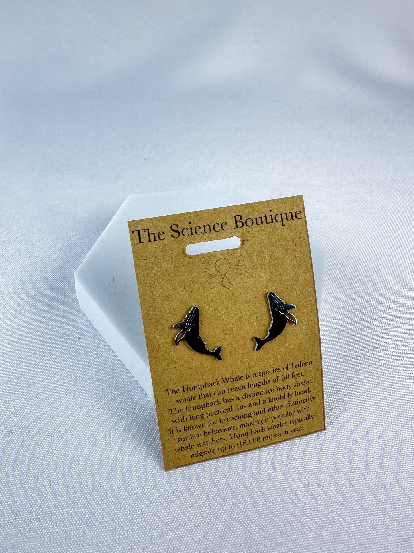 Humpback Whale Stud Earrings
