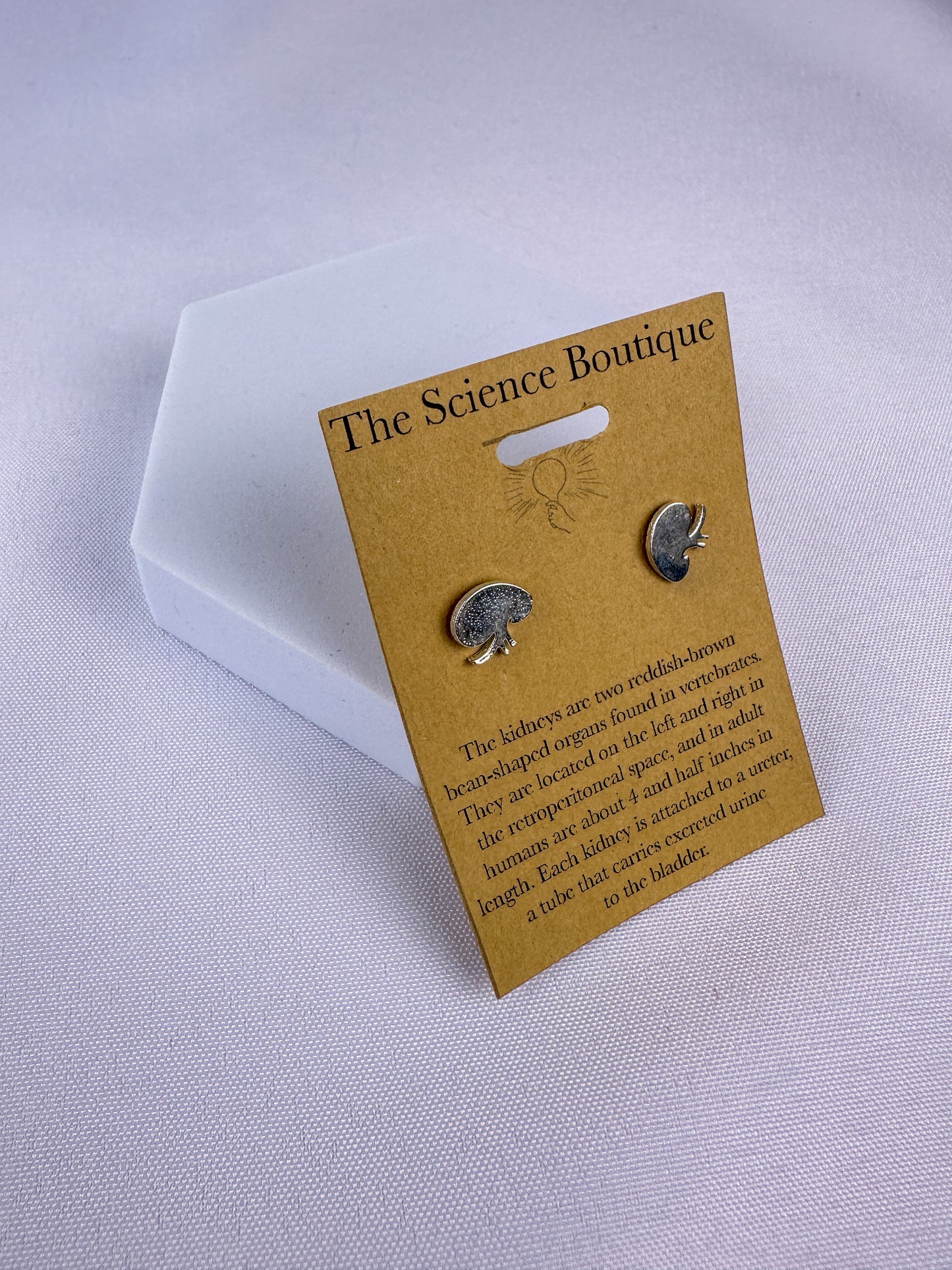 Kidney Stud Earrings