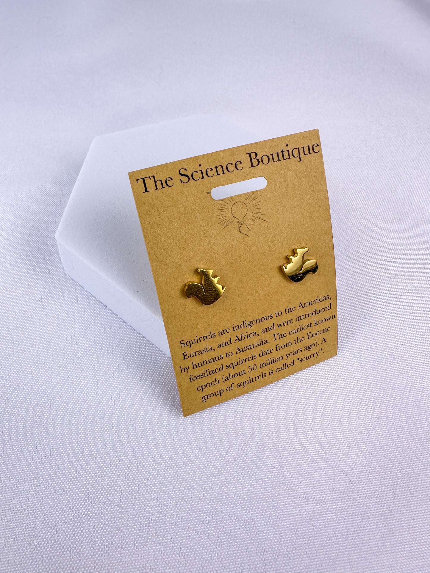 Squirrel Stud Earrings