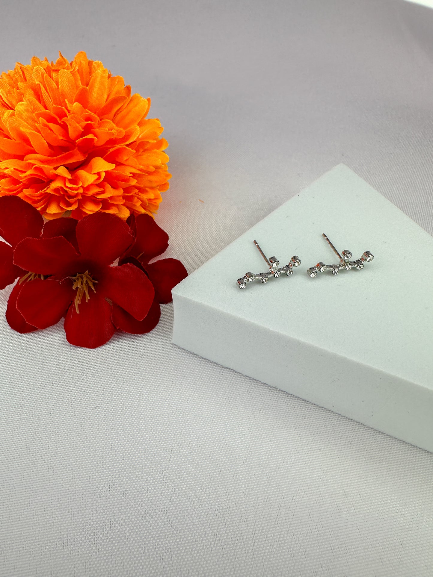 Leo Constellation Earrings