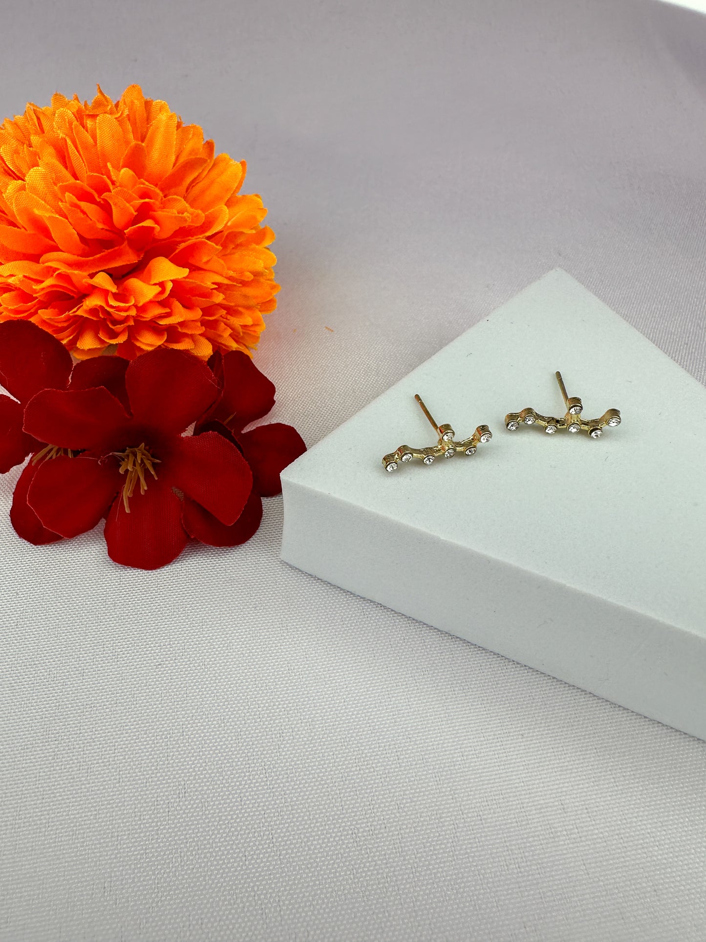 Leo Constellation Earrings