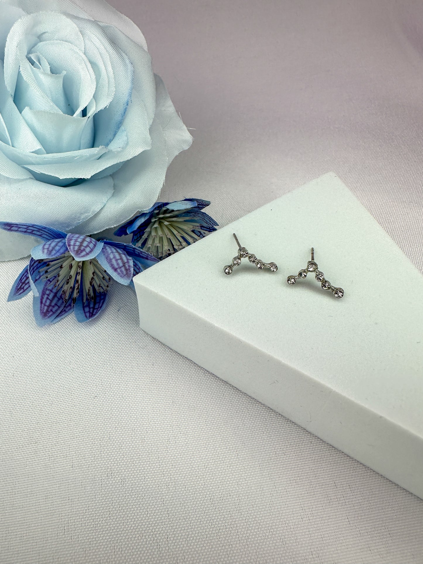Pisces Constellation Earrings