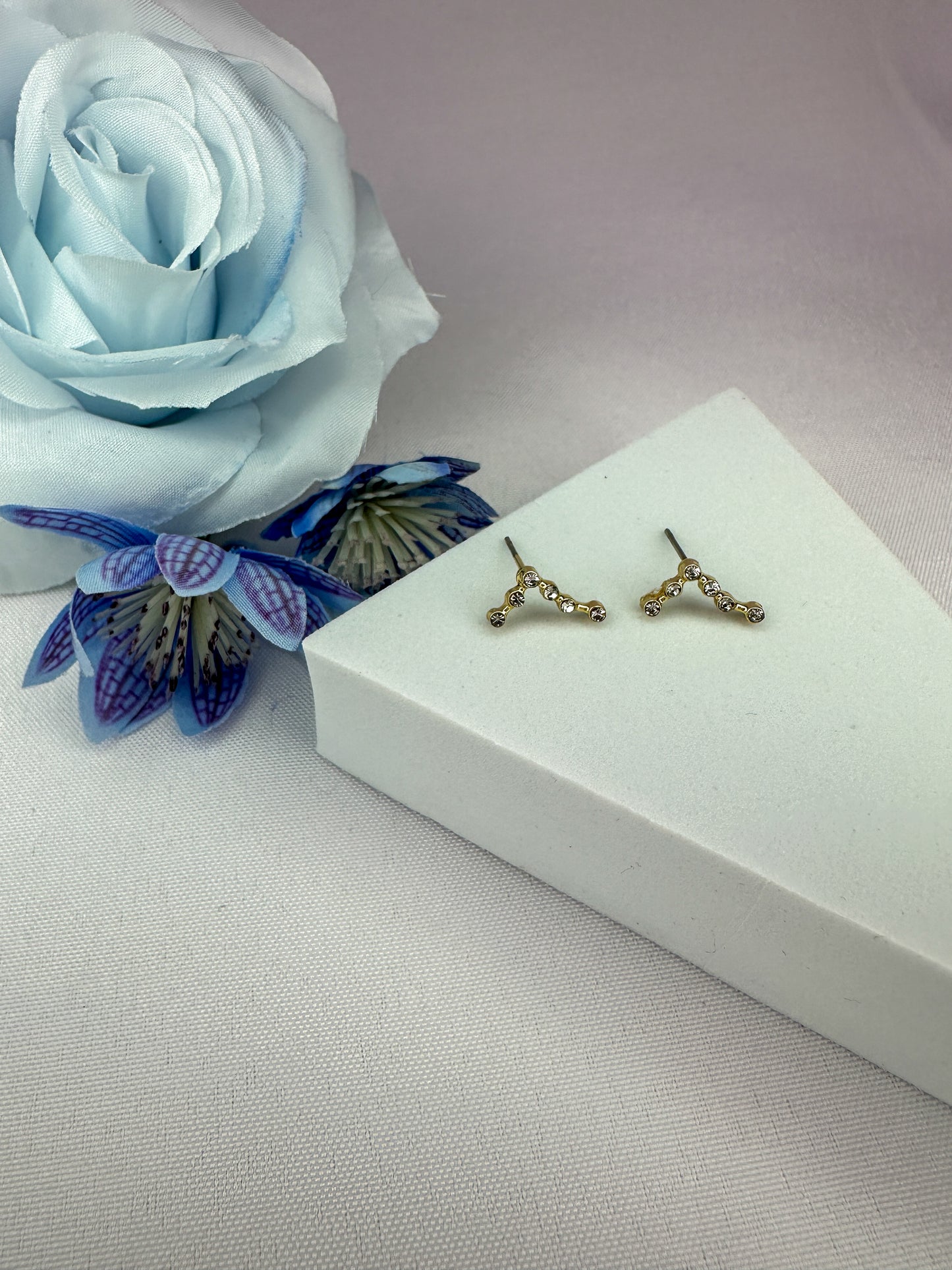 Pisces Constellation Earrings