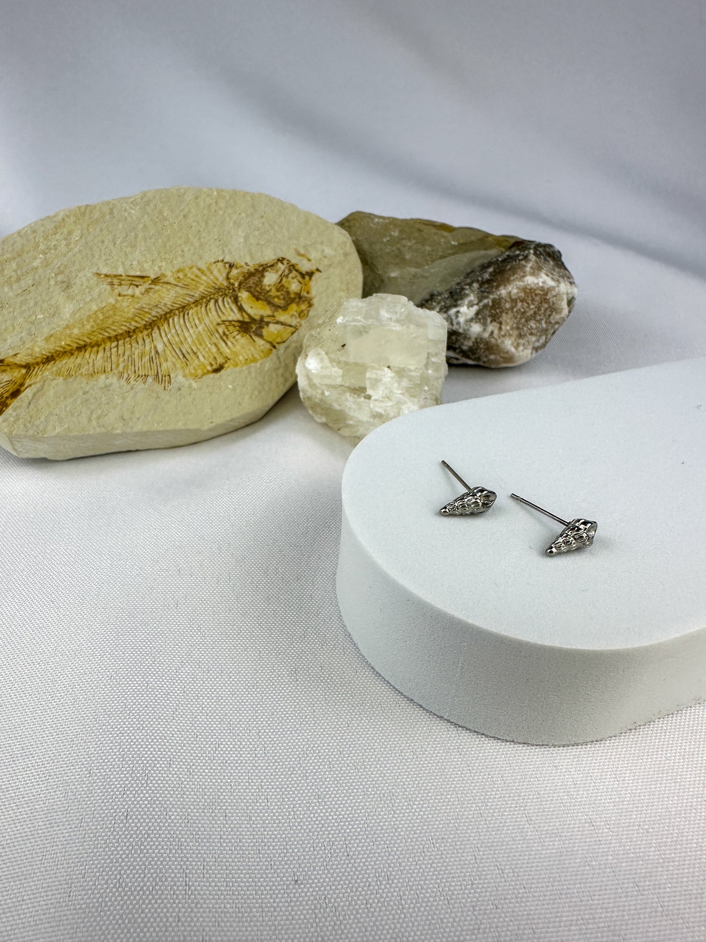 Seashell Stud Earrings