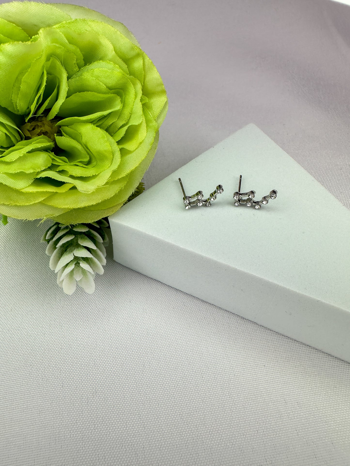 Taurus Constellation Earrings