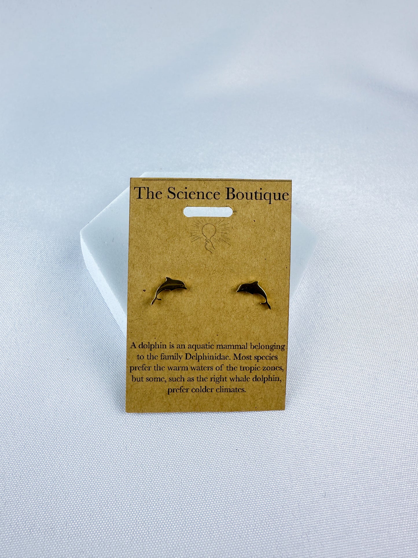 Dolphin Stud Earrings