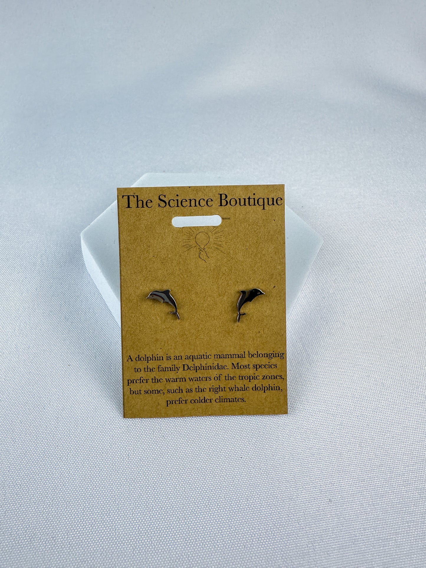Dolphin Stud Earrings