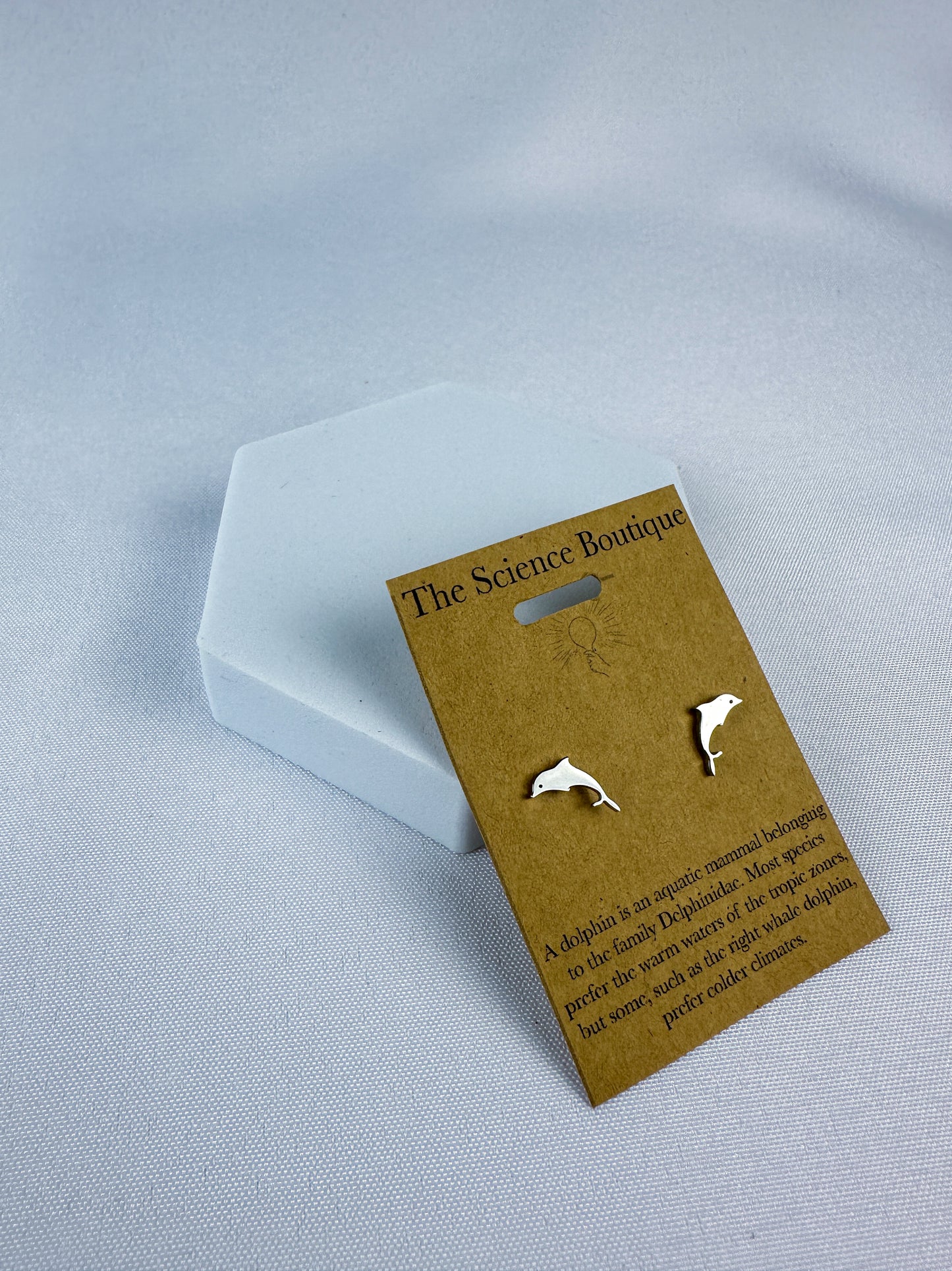 Dolphin Stud Earrings