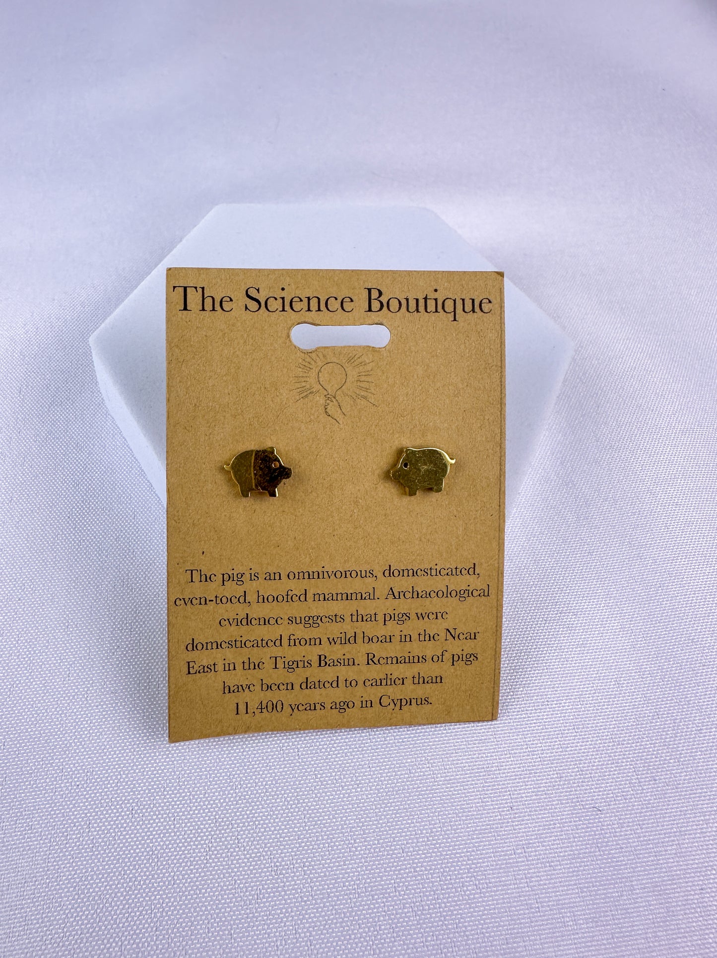 Pig Stud Earrings