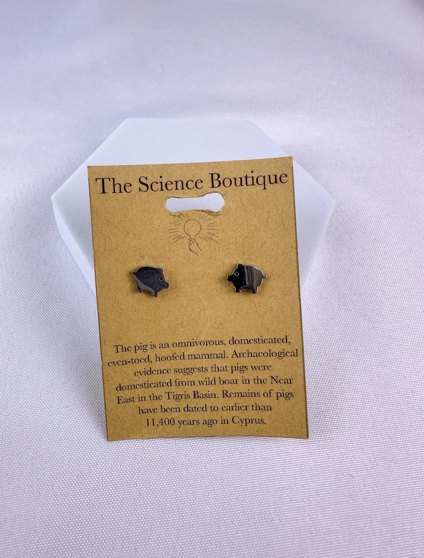 Pig Stud Earrings