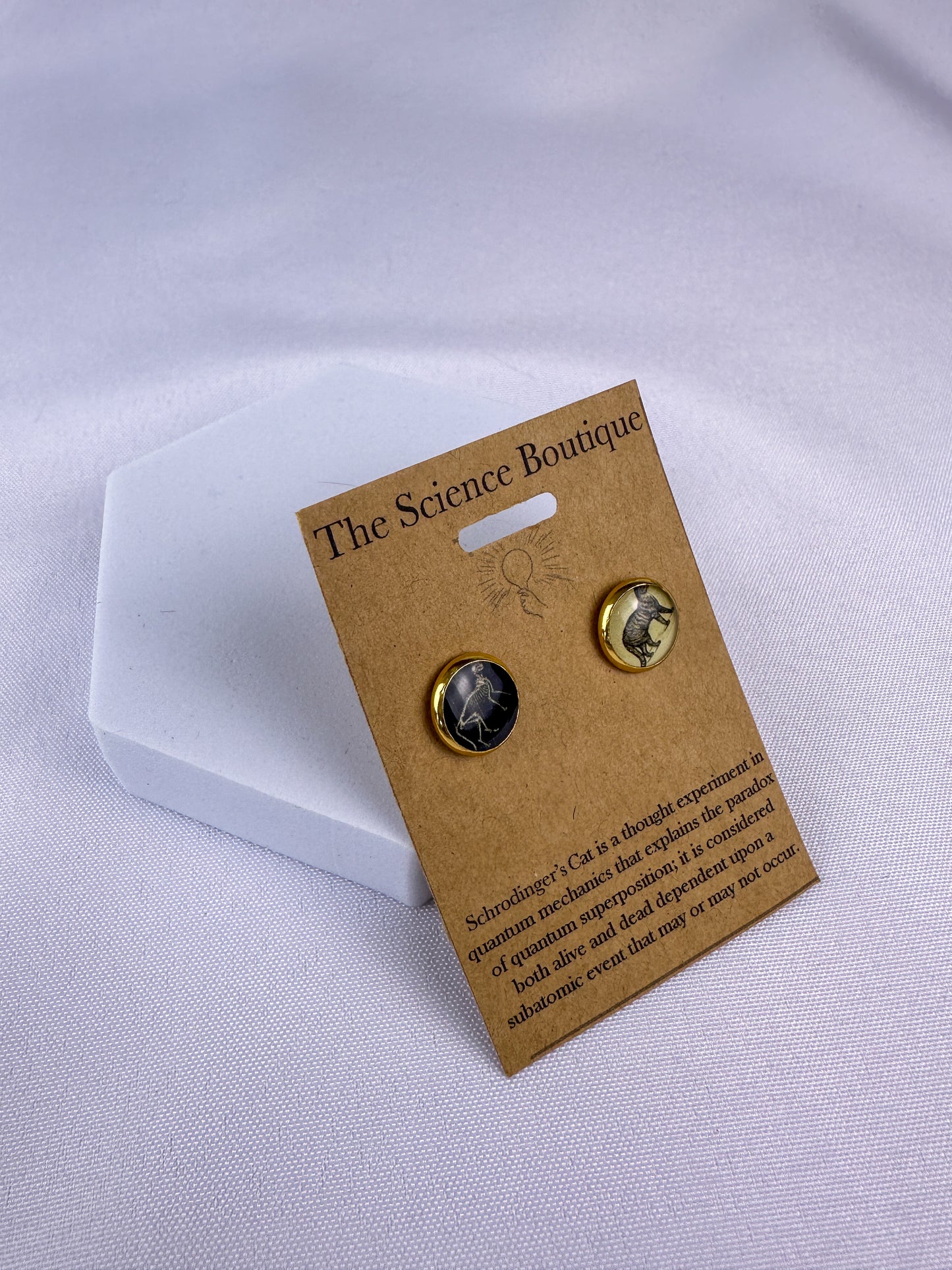 Schrödinger’s Cat Stud Earrings