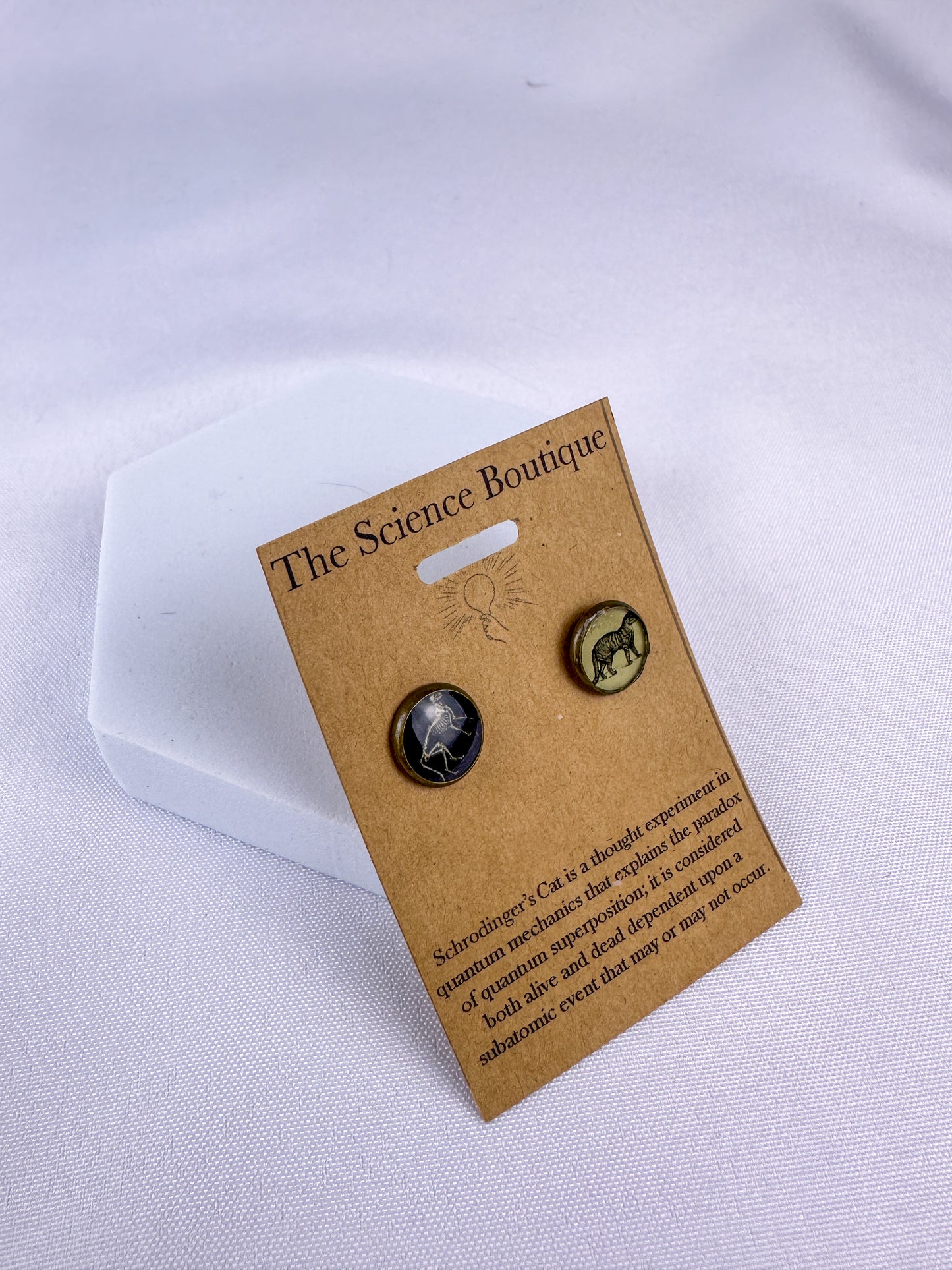 Schrödinger’s Cat Stud Earrings