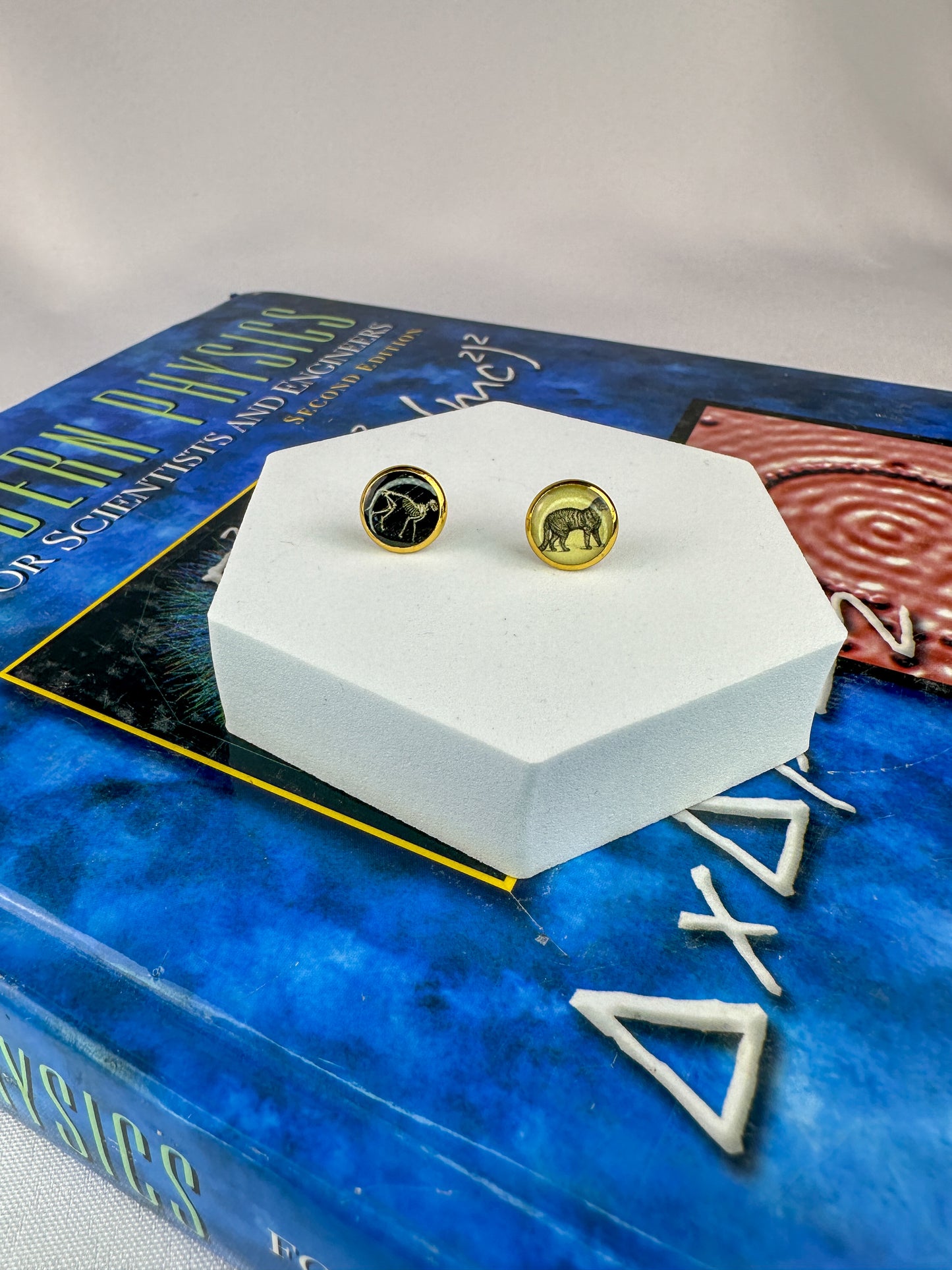 Schrödinger’s Cat Stud Earrings