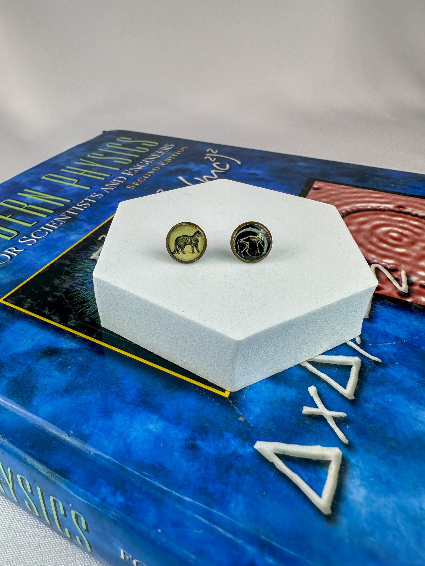Schrödinger’s Cat Stud Earrings