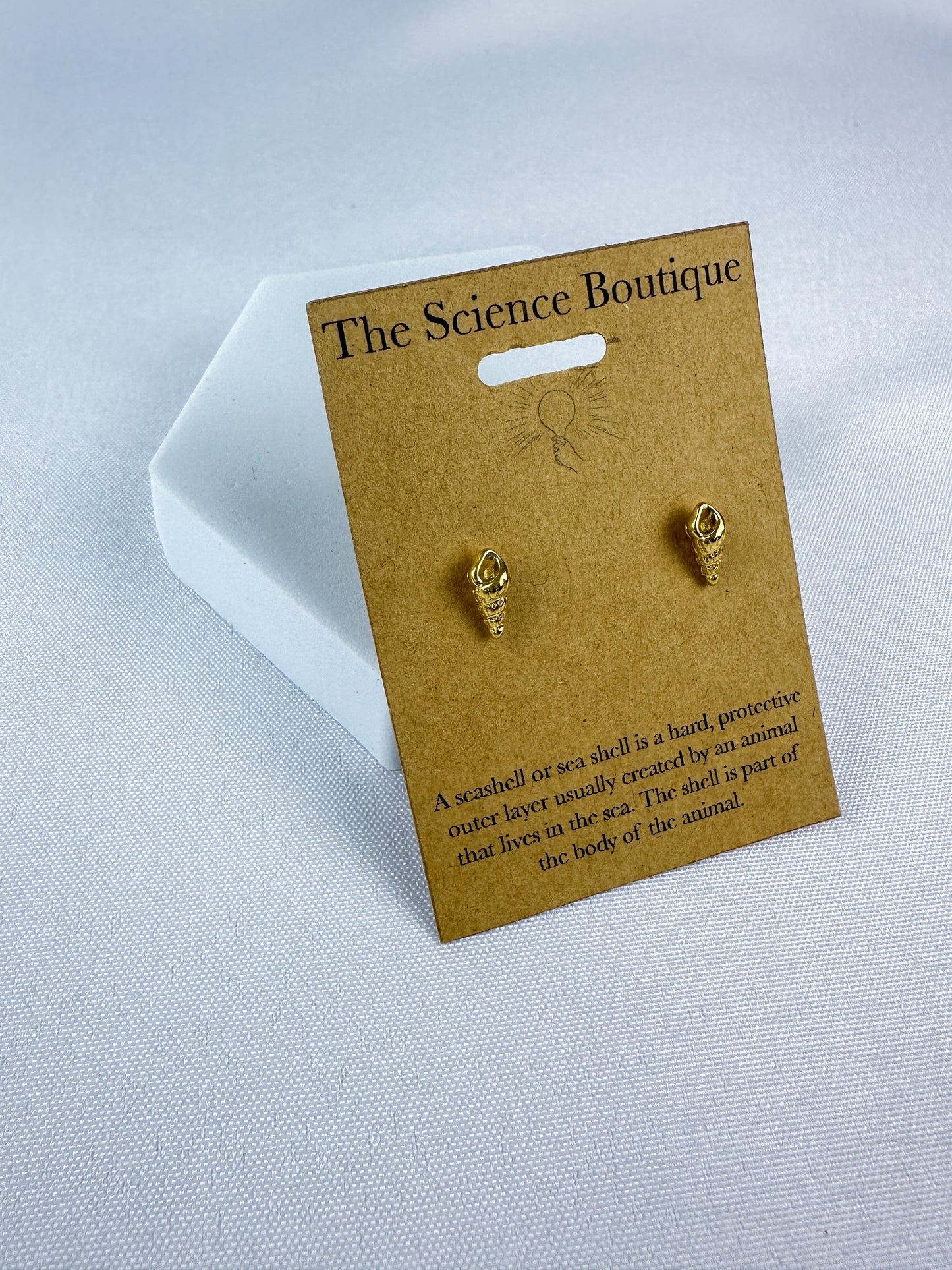 Seashell Stud Earrings