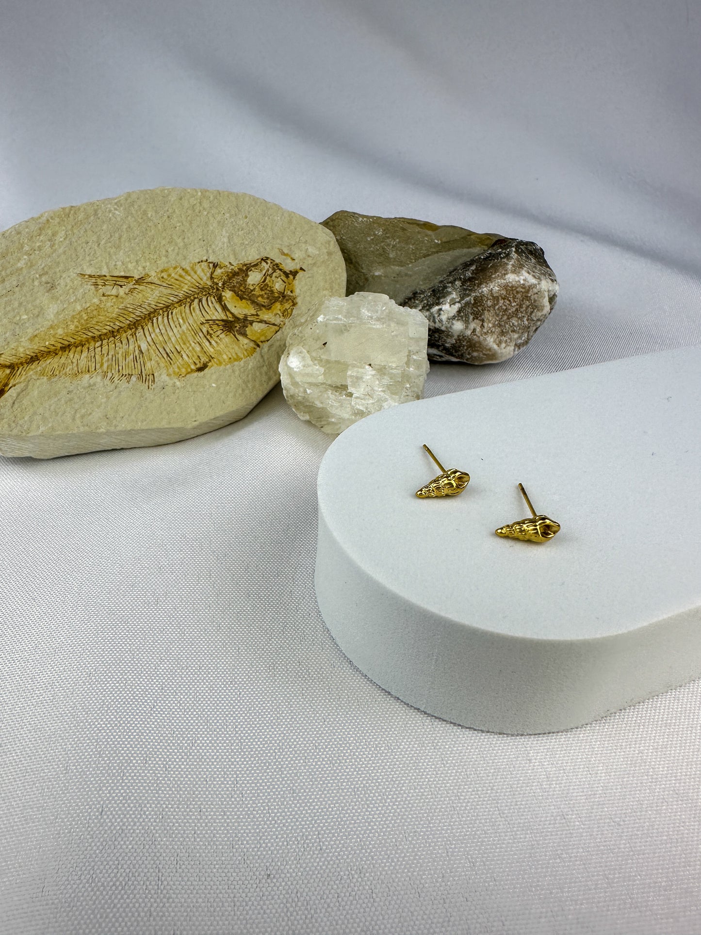 Seashell Stud Earrings